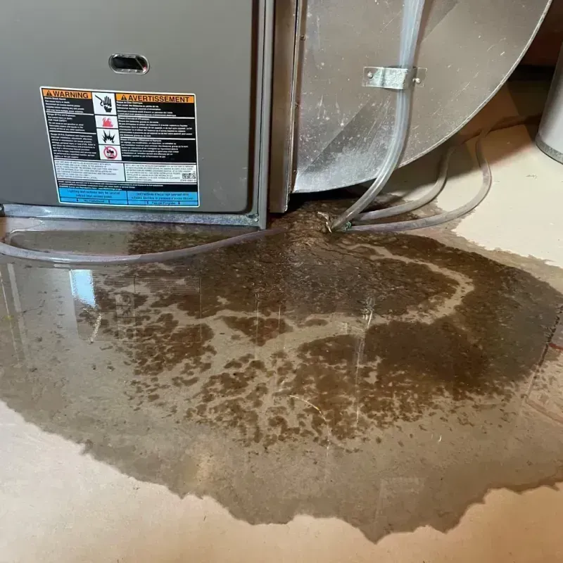 Appliance Leak Cleanup in Aguanga, CA